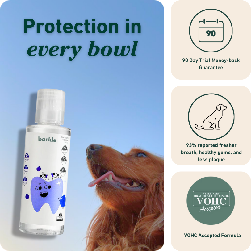 Barkle Dental Water Additive