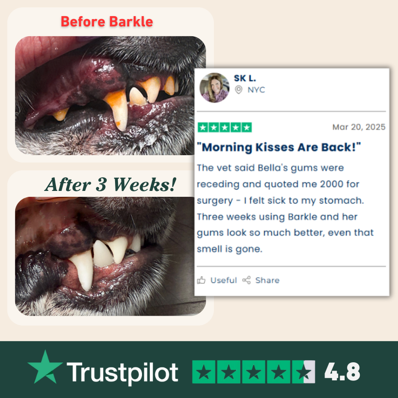Barkle Dental Water Additive