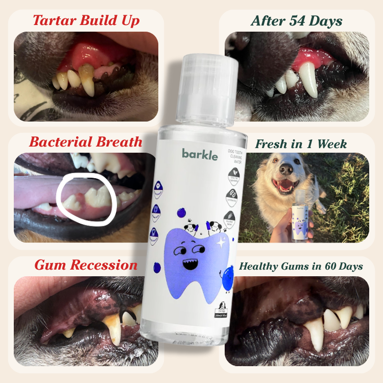 Barkle Dental Water Additive