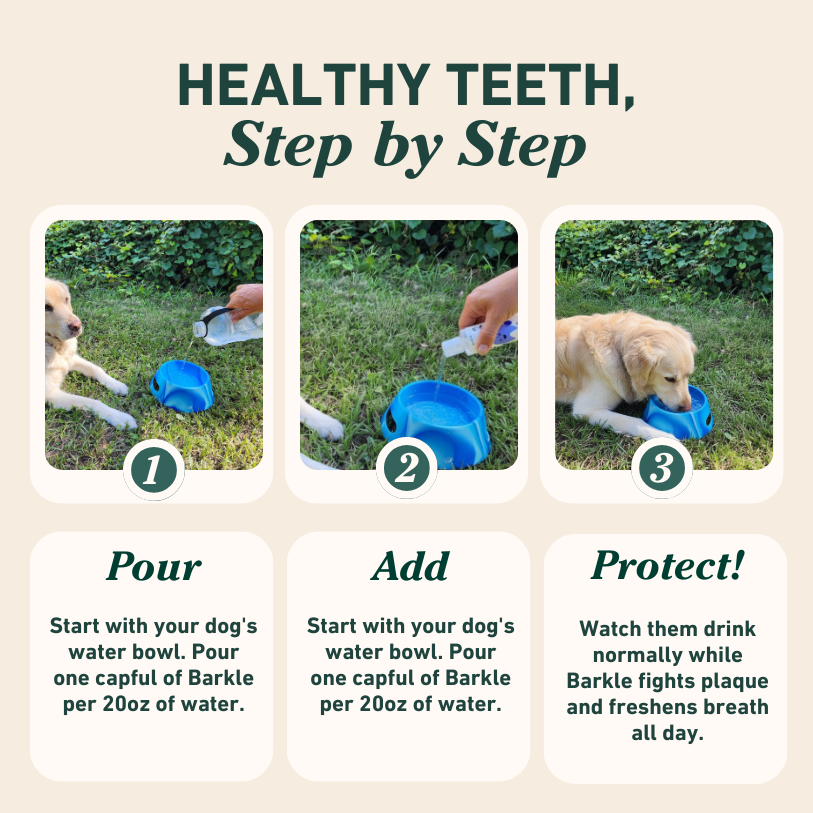 Barkle Dental Water Additive